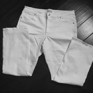 Coldwater Creek Bootcut Jeans 16